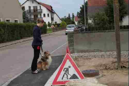 Denni an der Baustelle